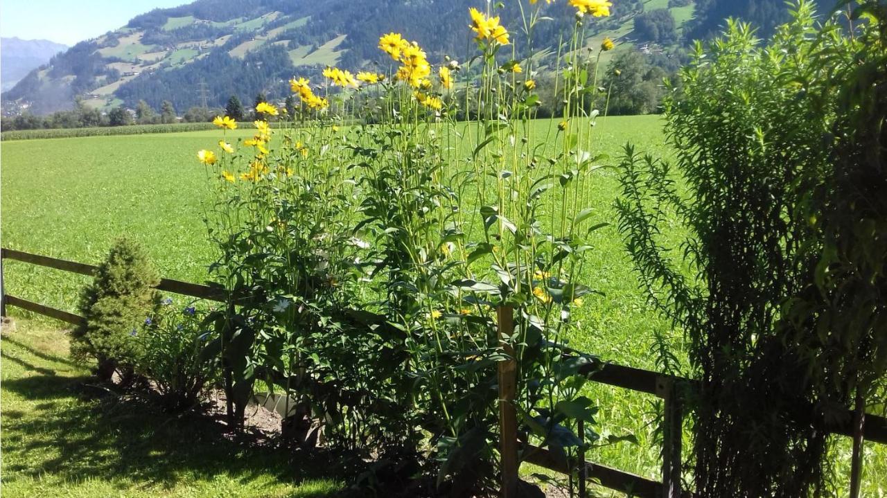 Haus Kreidl Bed & Breakfast ชเวนเดา ภายนอก รูปภาพ